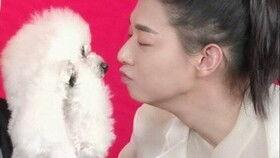 n性男明星,从辉煌到低谷的蜕变之路