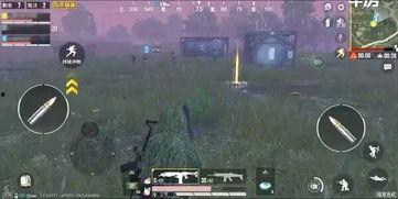 最新爆料和平精英,神秘新玩法即将上线，玩家热议不已！